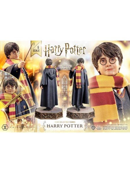 Harry Potter 1/6 Scale Limited Edition Heykel