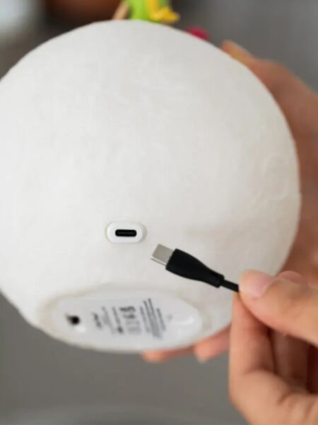 Küçük Prens (The Little Prince) Lamba