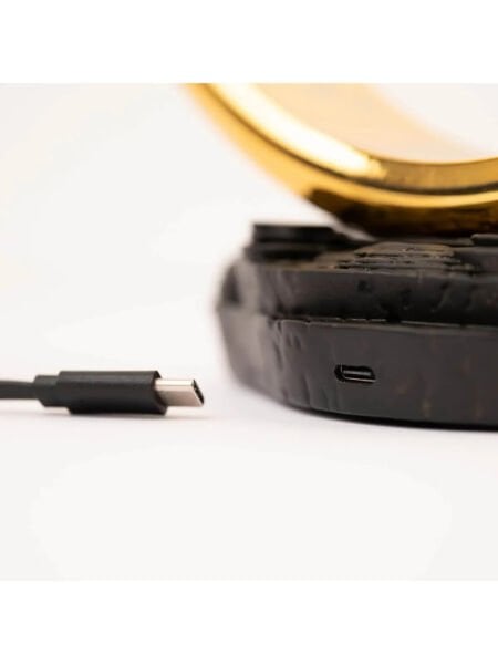 Lord Of The Rings One Ring Lamba