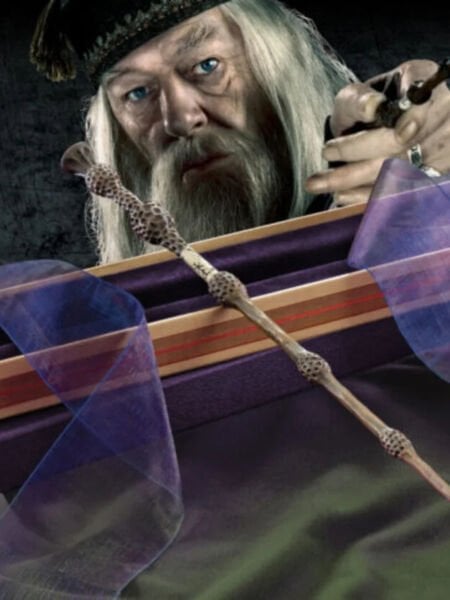 Harry Potter - Albus Dumbledore Asa (Ollivanders Koleksiyon Kutusunda)