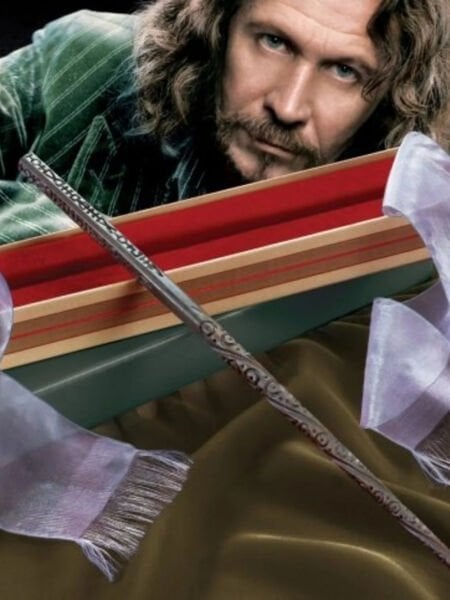 Harry Potter - Sirius Black Asa (Ollivanders Koleksiyon Kutusunda)