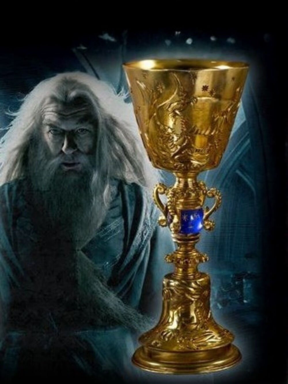 Harry Potter - Dumbledore Cup