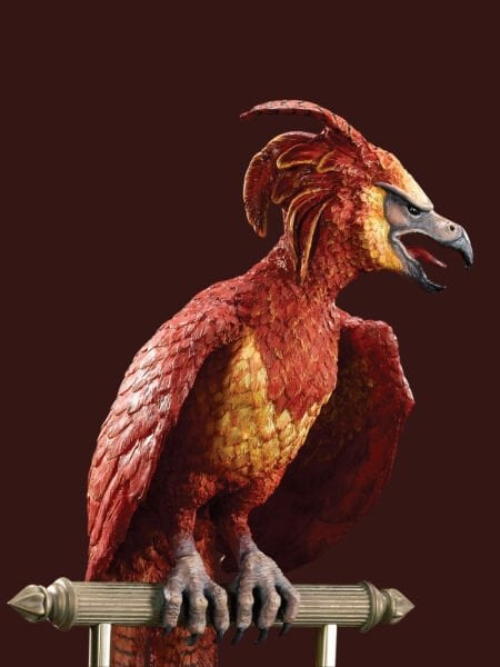Harry Potter - Fawkes The Phoenix Heykel