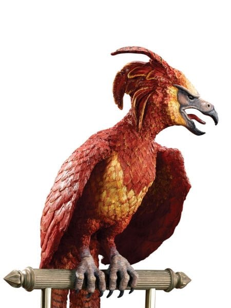 Harry Potter - Fawkes The Phoenix Heykel