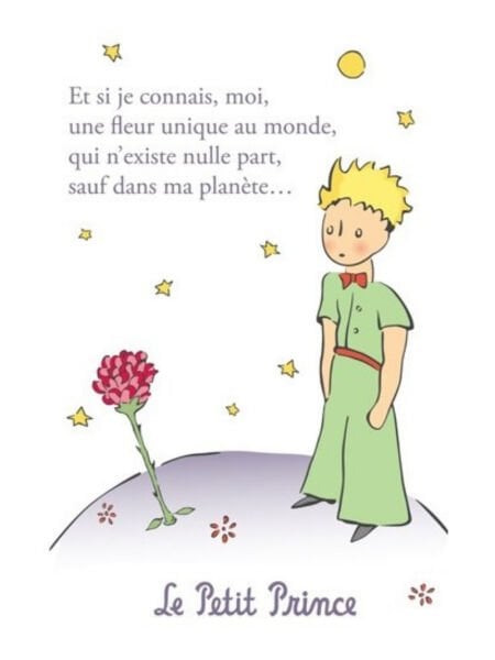 The Little Prince and the Rose (Le Petit Prince et la Rose) Figür