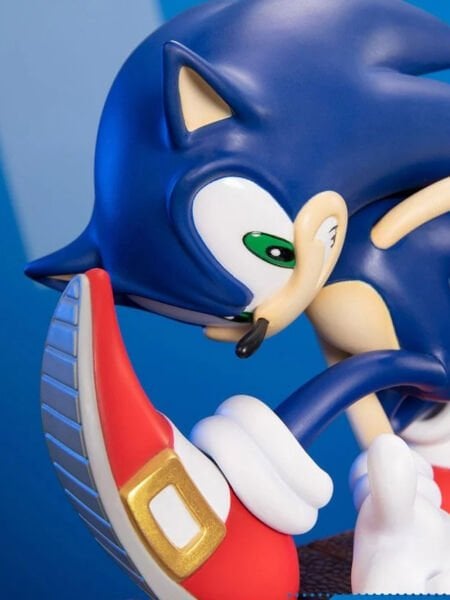 Sonic Adventure - Sonic the Hedgehog (Collector's Edition) Heykel
