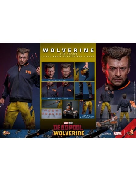 Deadpool & Wolverine - Wolverine (TVA Jacket Version) 1/6 Scale Koleksiyon Figürü