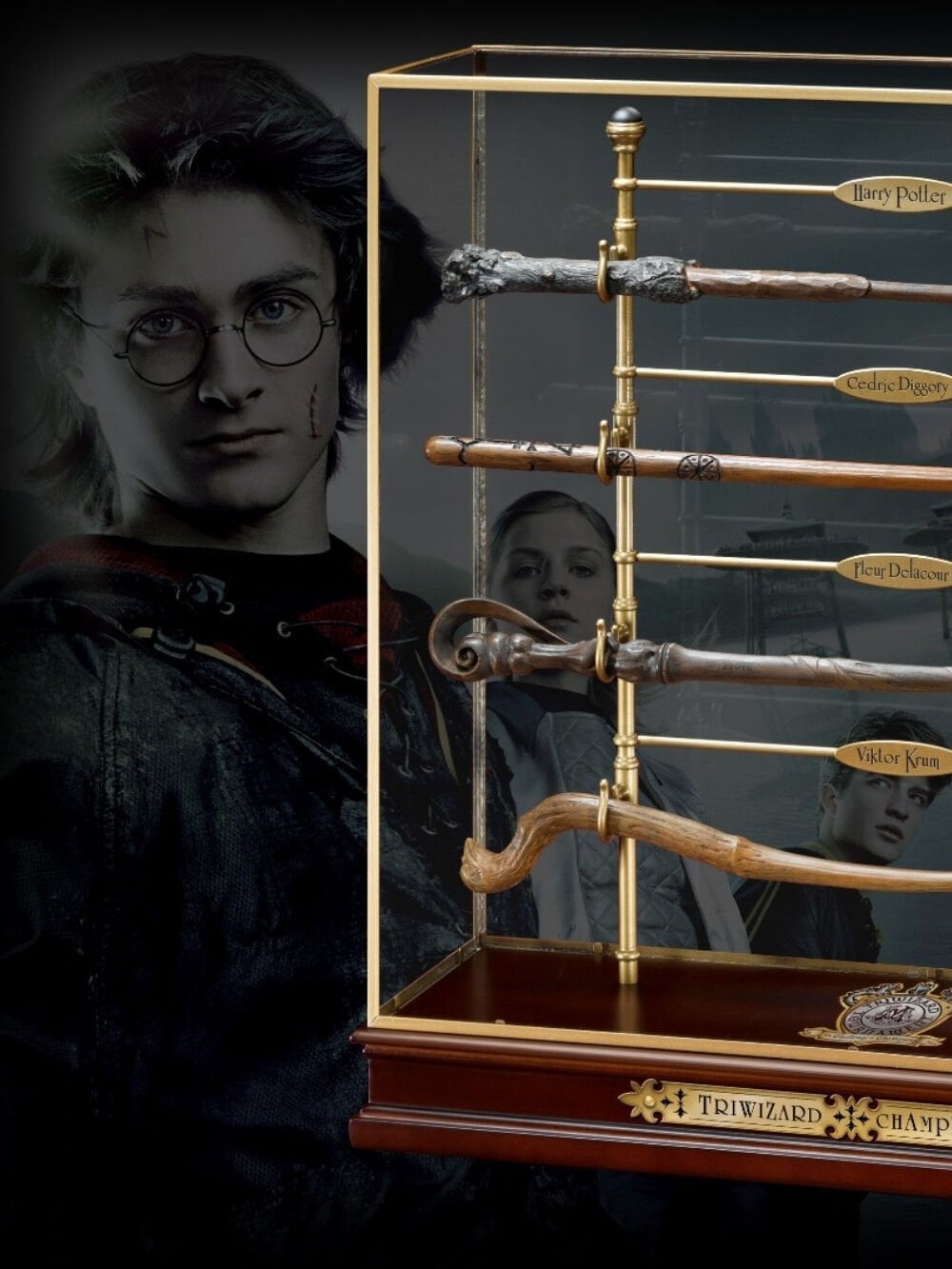 Harry Potter - Triwizard Champions Asa Seti ve Sergileme Standı