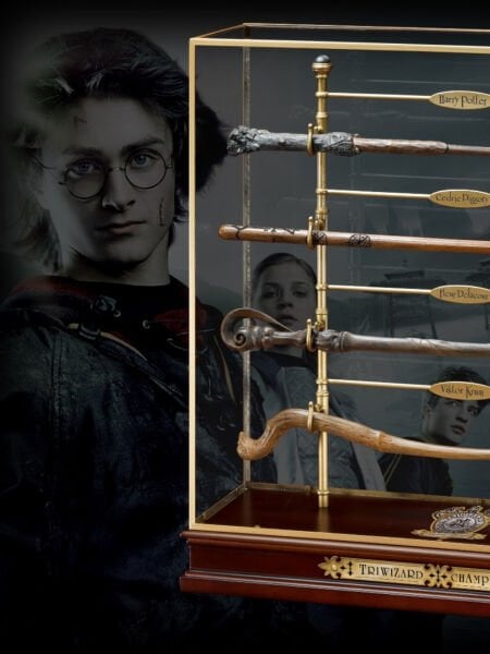 Harry Potter - Triwizard Champions Asa Seti ve Sergileme Standı
