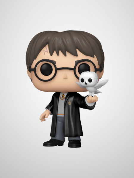 Harry Potter - Harry Potter with Hedwig (Exclusive) Funko Pop! & Buddy Figür #197