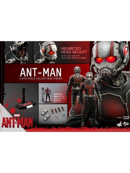 Ant-Man - Ant-Man 1/6 Scale Koleksiyon Figürü
